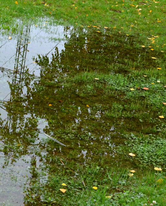 water-in-yard-mccoy-paving